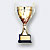 Competitions