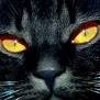666 numarul fiarei?.....