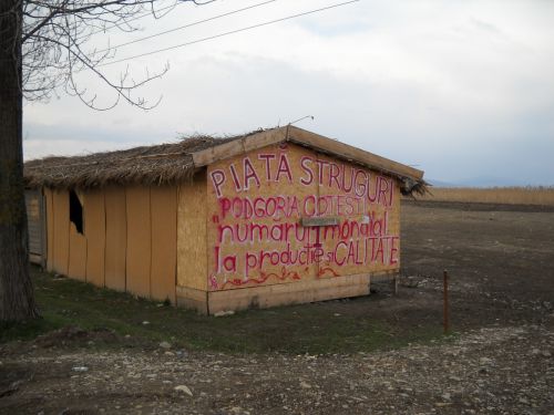 Pastele 2010