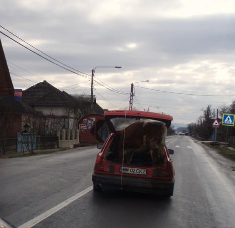 Ce aveti in portbagaj?