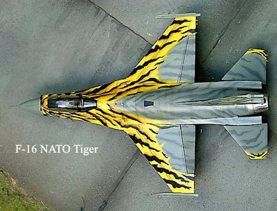 Cenusa vulcanica a afectat un avion de lupta F-16 al NATO 