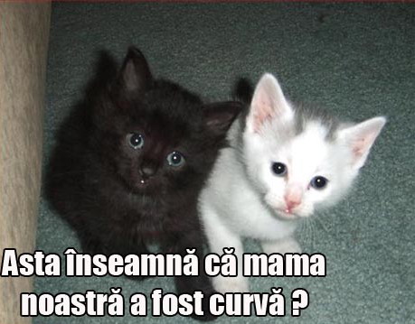 Se spune...
