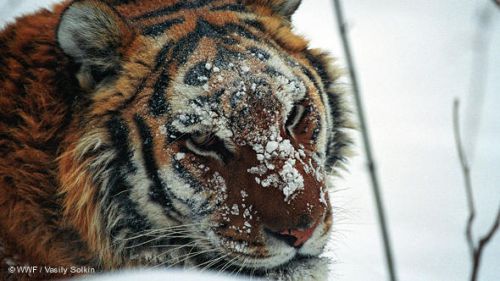 Care este ziua in care vom avea nevoie de doua planete ? Si ce vom face atunci ?