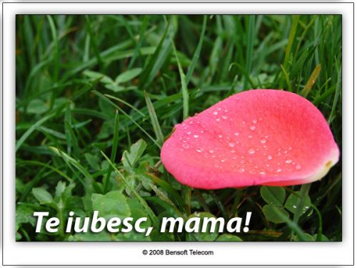 Ce cadou veţi da mamei voastre?