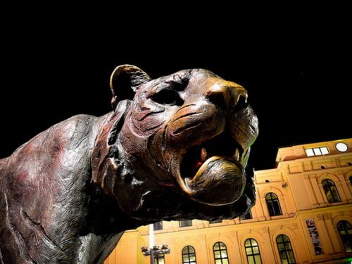 Amatorii de safari sunt asteptati la Sibiu