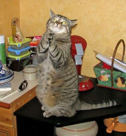 Sunt timid, dar ma tratez!