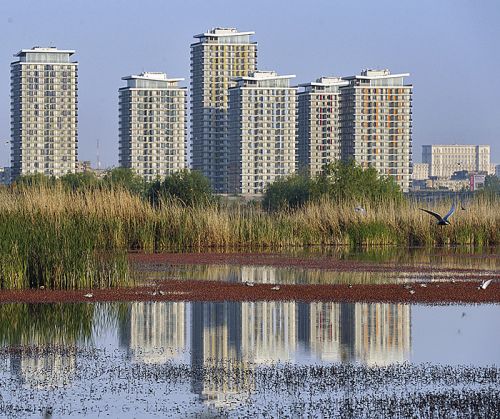 Delta Bucurestiului