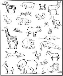 Tu ce animal esti?