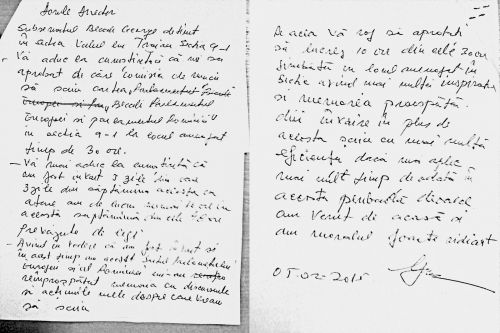 Scrisoarea lui Gigi Becali catre "Domle Director"