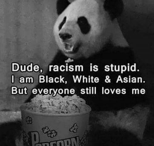Rasism