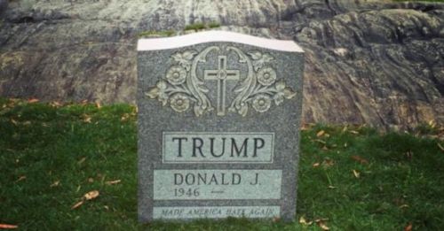 America, Donald si alegerile America, Donald si alegerile