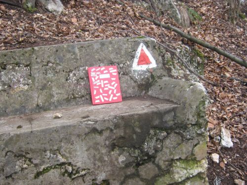 15. Caietul lui crissstti