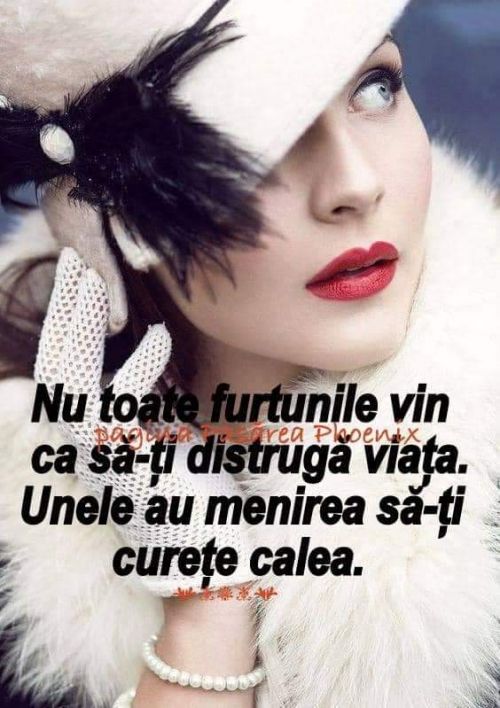 Nu as fi crezut vreodată că...