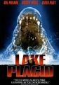 Lake Placid