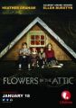 Flowers in the Attic