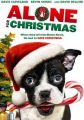 Alone for Christmas