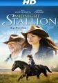 Midnight Stallion