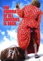 Big Momma's House 2