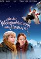 When Santa Fell to Earth