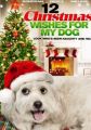 12 Wishes of Christmas