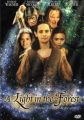 A Light in the Forest