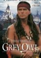 Grey Owl