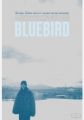 Bluebird