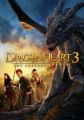 Inimã de dragon 3: Blestemul vrãjitorului