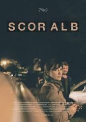 Scor alb