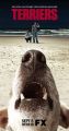 Terriers
