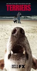 Terriers