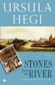 Stone in the River