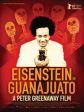 Eisenstein in Guanajuato
