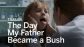 When My Father Became a Bush