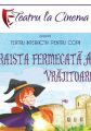 Traista fermecată a Vrăjitoarei