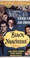 Narcisa neagra