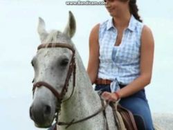 Wild Horses