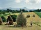 Fâneţe montane: rezerve de biodiversitate și cultură tradițională