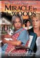 Miracle in the Woods