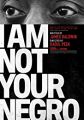 I Am Not Your Negro