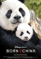Născut în China