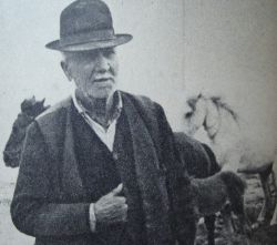 Apa ca un bivol negru