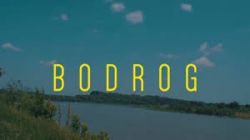 Bodrog