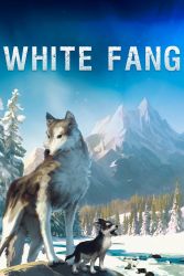White Fang