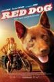 Red Dog