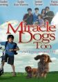 Miracle Dogs Too