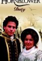 Hornblower: Datorie