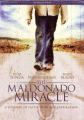 Miracolul Maldonado Miracolul Maldonado