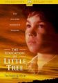 The Education of Little Tree