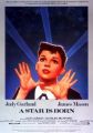 A Star Is Born